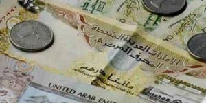 استقرار سعر الدرهم الإماراتي اليوم الخميس 21 نوفمبر 2024 - محتوى بلس